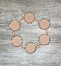 Load image into Gallery viewer, life cycle tray set