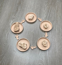 Load image into Gallery viewer, life cycle tray set